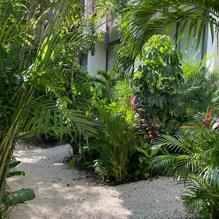 Canopy Cove Loft Private Jacuzzi Parking & B-club * Tulum
