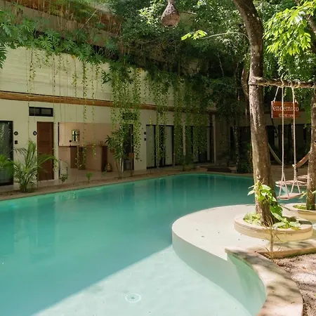 Acinte Tulum