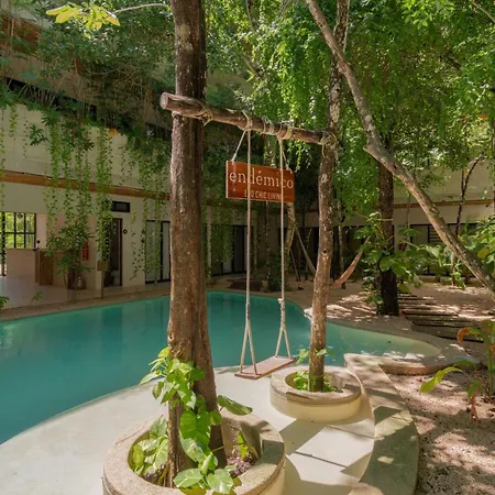Acinte Tulum