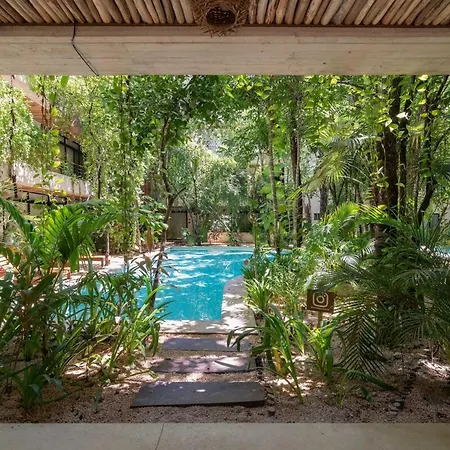 Acinte Tulum