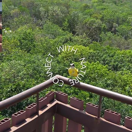 2br In Zone - Jacuzzi - Free Club Access Apartamento Tulum