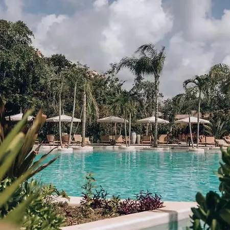 Hotel New! Aflora Retreat Tulum, Loft With Pool And Gym