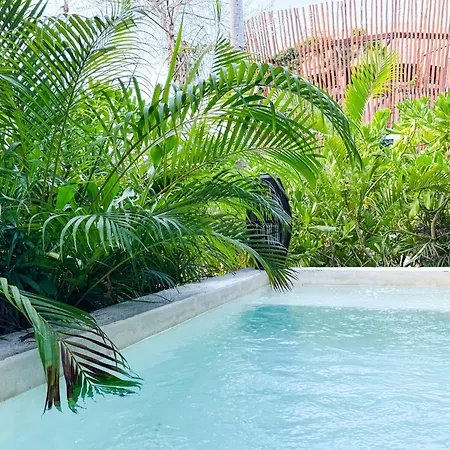 Piece Of Mayan Jungle Private Pool 403 Apartment