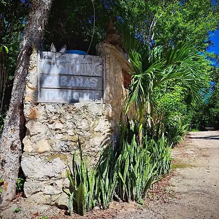 Casa Mango