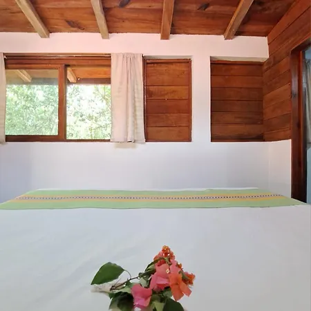 Bed & Breakfast Casa Mango 3*