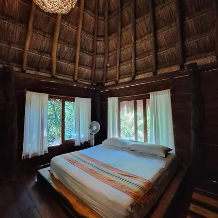 Casa Mango