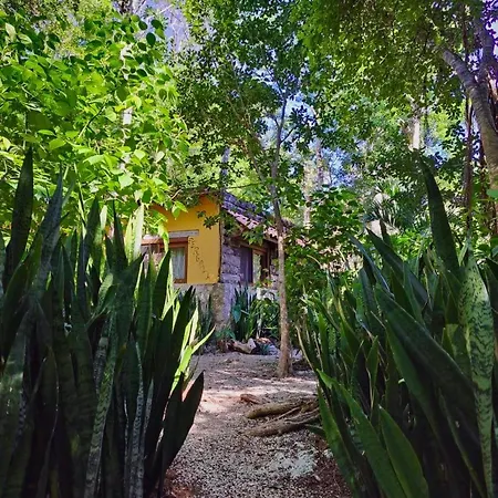 Casa Mango Bed & Breakfast