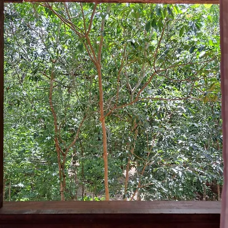 Casa Mango