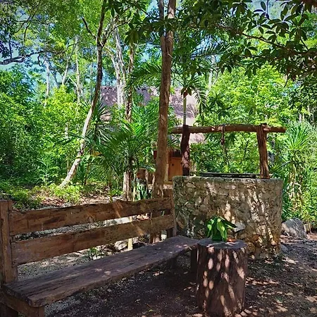 Casa Mango Bed & Breakfast