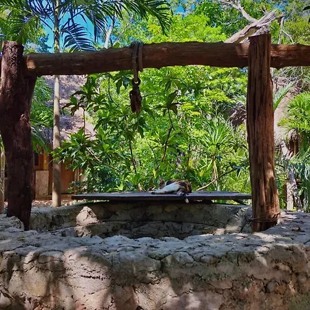 Casa Mango Bed & Breakfast 3*