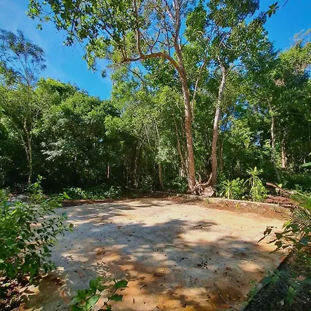 Casa Mango 3*