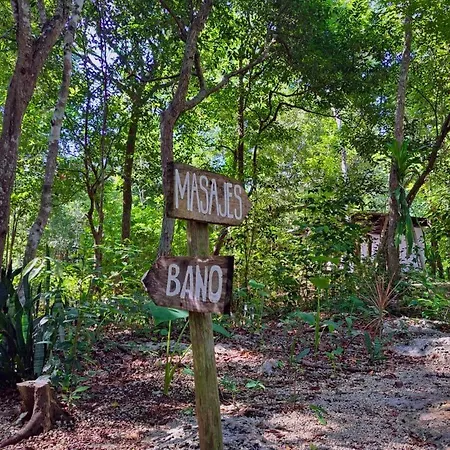 Casa Mango Bed & Breakfast 3*