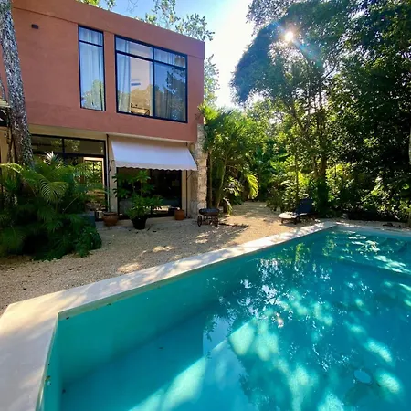 Modern Jungle