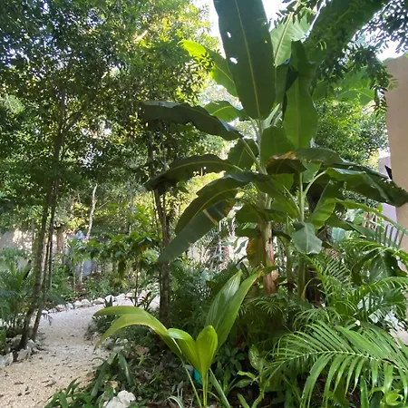 Modern Jungle Villa Tulum