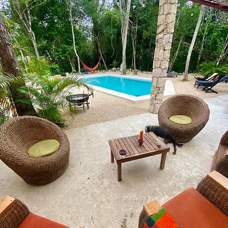 Villa Modern Jungle