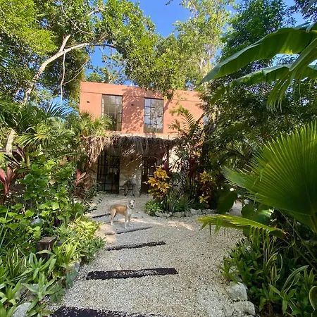 Modern Jungle Villa