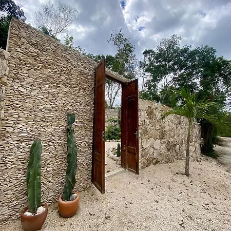 Modern Jungle Villa *