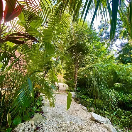 Modern Jungle Villa