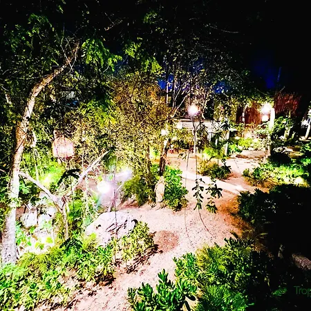 Piece Of Mayan Jungle Private Pool 403 Apartment Tulum