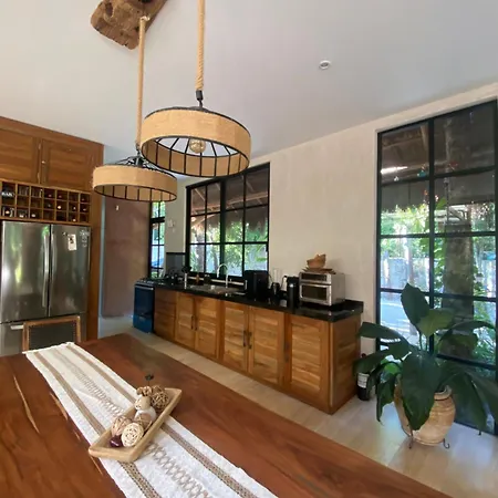 Modern Jungle *