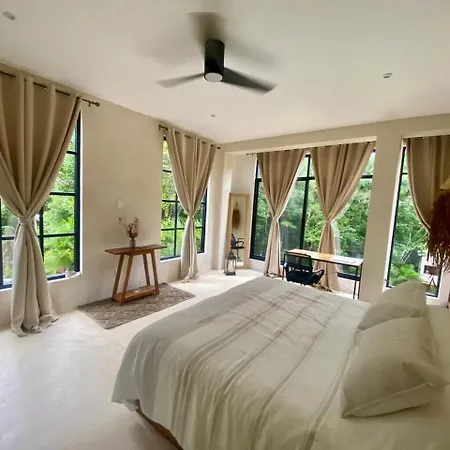 Modern Jungle Tulum