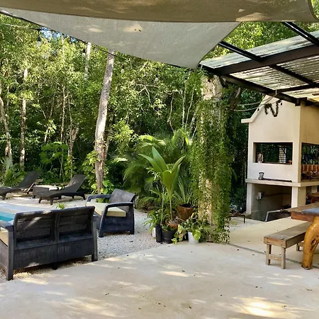 Villa Modern Jungle *