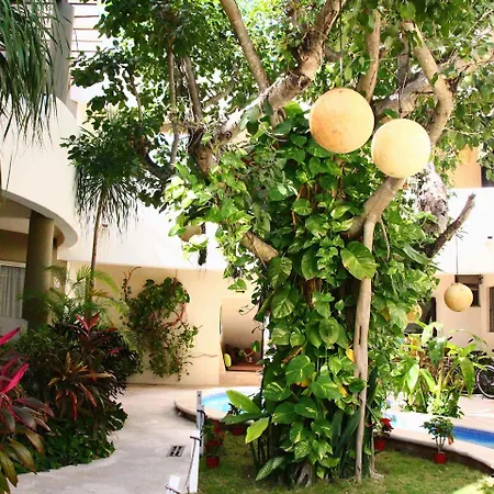 Boutique 06 (adults Only) Tulum
