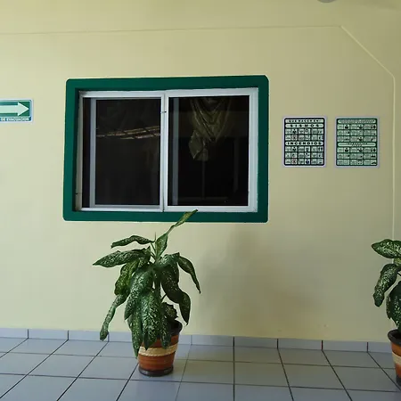 Hotel Oyo Palma Real