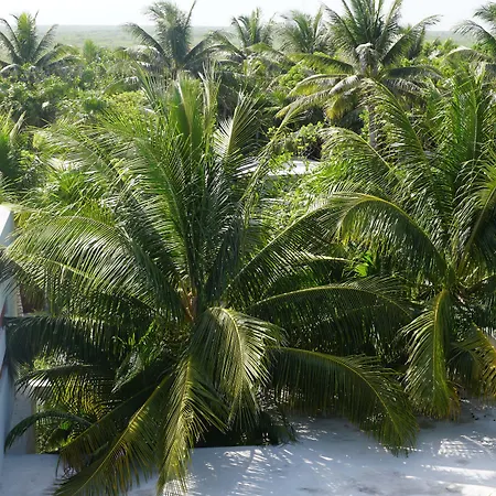 Hotel Lula Tulum, A Small Luxury Tulum