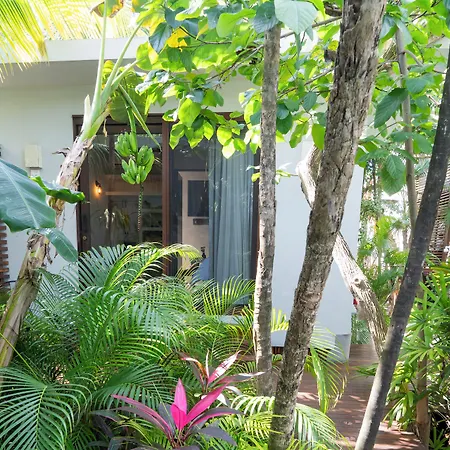Lula Tulum, A Small Luxury 4* Tulum