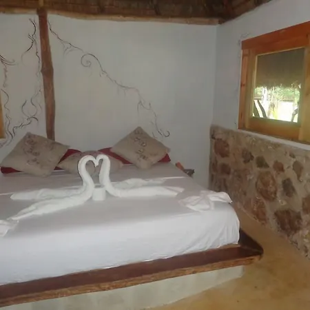 Casa Mango Bed & Breakfast