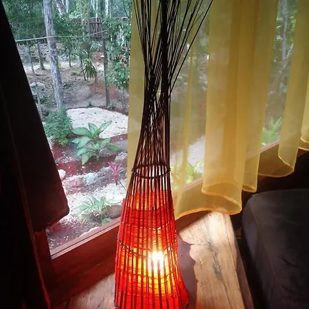 Casa Mango