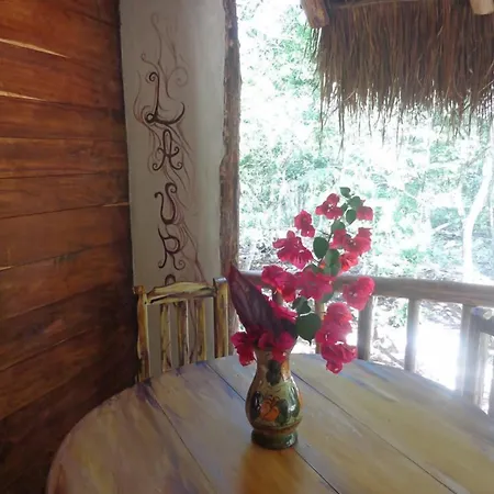Casa Mango