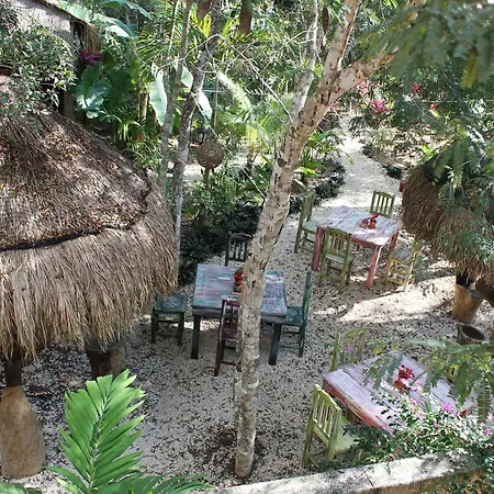 Bed & Breakfast Casa Mango 3*