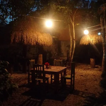Casa Mango