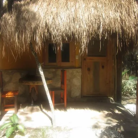 Casa Mango