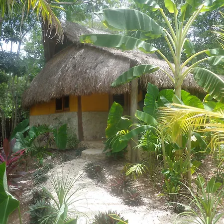 Casa Mango Bed & Breakfast
