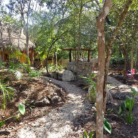 Casa Mango Bed & Breakfast 3*