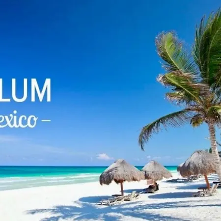 New! Aflora Retreat Tulum, Loft With Pool And Gym *