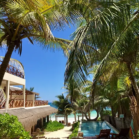 Dune Boutique Located At The Party Zone (adults Only) Hotel 4*