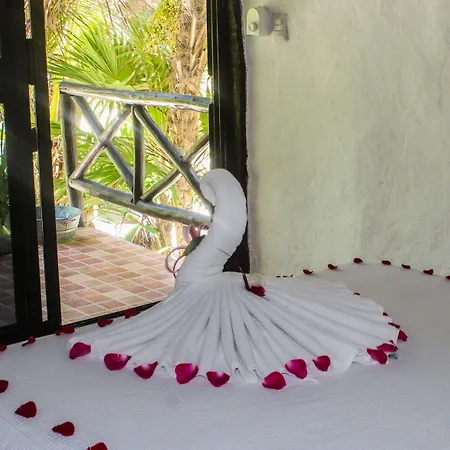 Hotel Pocna 3*