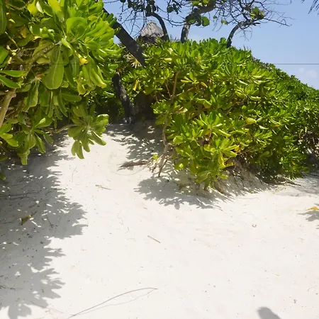 Pocna Hotel Tulum