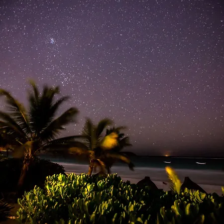 Hotel Pocna