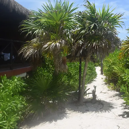 Pocna Tulum