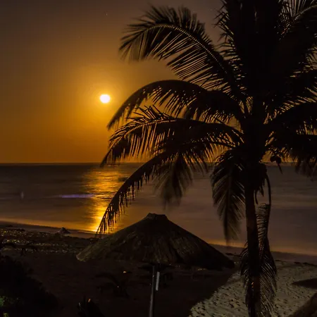 Pocna Tulum