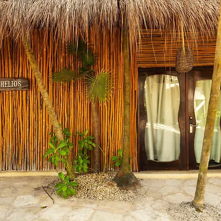 Hotel Alquimia Boutique 4*