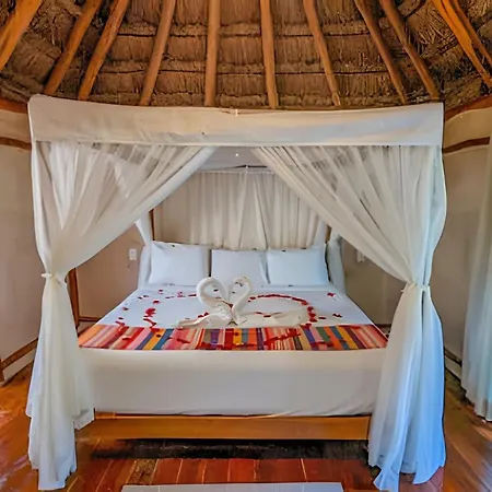 Stunning 6 Private Villas & Ph /Wifi/Ac/Pool/Gym.