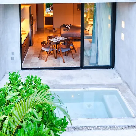 Apartment Private Pool New Jungle King Bed Wifi Selva 106 Tulum