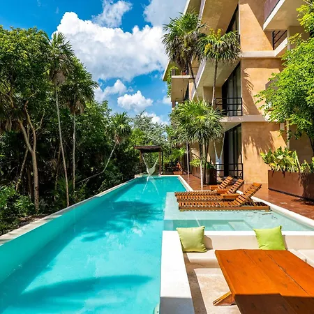 Selva Spirit At Torre Jungla
