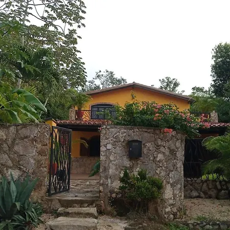 Casa Mango Bed & Breakfast